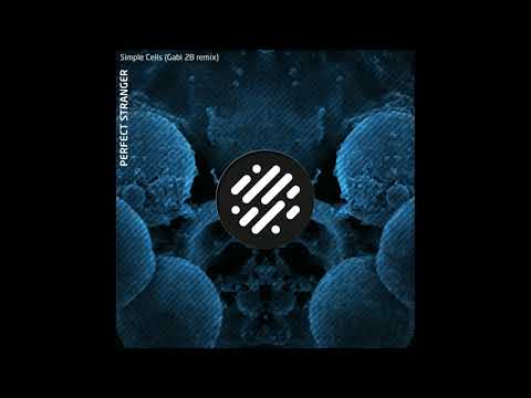 Perfect Stranger - Simple Cells (Gabi 2B Remix)
