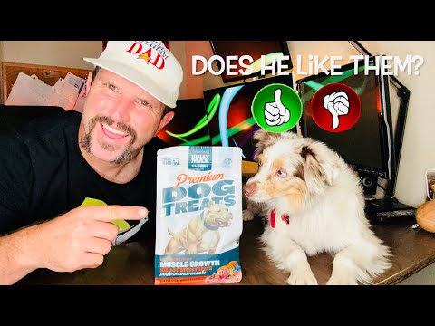 Are Bully Max High Protein Dog Treats The Best Healthy Dog Treats For Your Pooch?