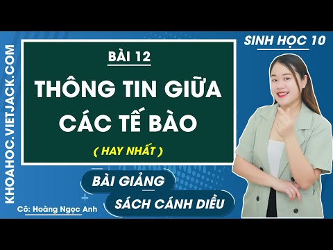 Sinh 10 Cánh diều Bài 12: Thông tin tế bào | Giải Sinh học 10