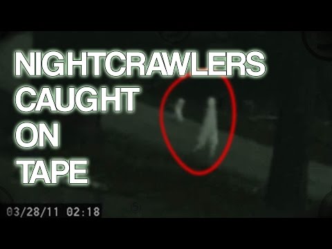Nightcrawler Creatures Caught on Tape Video