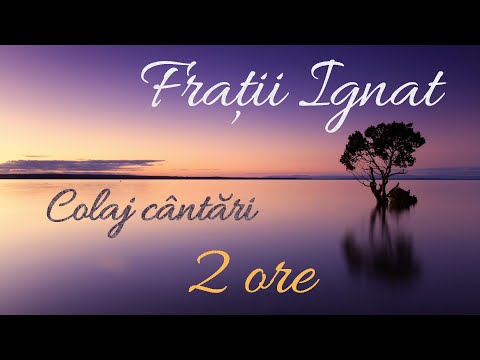 Frații Ignat | Colaj muzică creștină | 2 ore