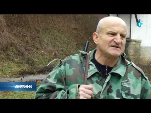 Masovna pojava: Krađa lovačkih pasa