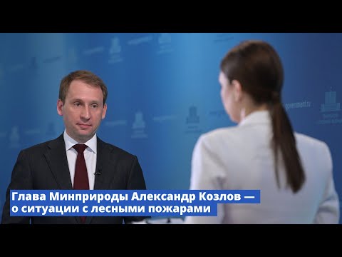 Брифинг Министра природных ресурсов и экологии Александра Козлова