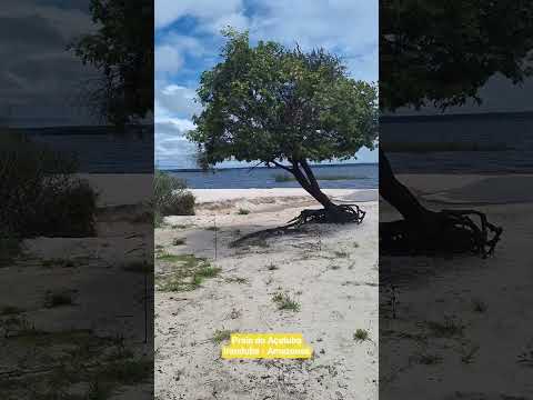 Praia do Açutuba no Iranduba/Amazonas
