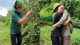 Huong was very sad because Hung worked far away - Picked up snails from the fields to sell.