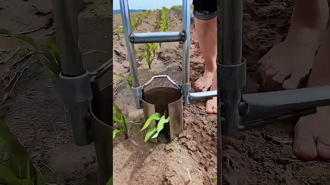 Plant Transplanter Tool – Smart Solution for Seedling Transfer #smartfarming #gardeningtips