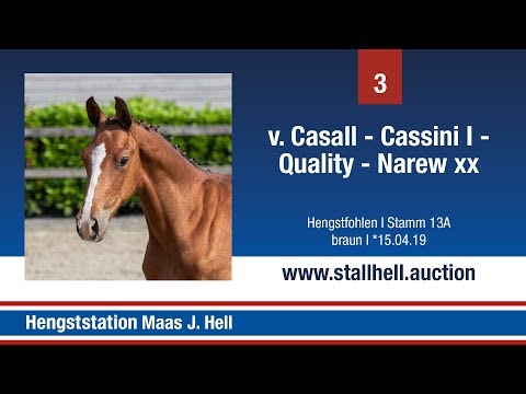 1. Online Fohlenauktion - Nr. 3 Casall x Cassini I