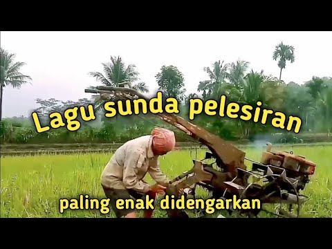 Lagu sunda pelesiran @kucing_liar922