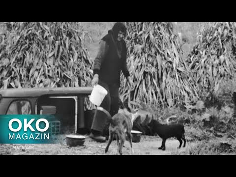 Oko magazin: Radim šta mi se kaže