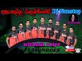 Ahungalla Flamingose DJ NONSTOP Karaoke Without Voice Ap Karaoke