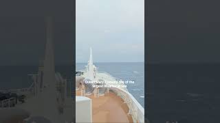 The Largest Library at Sea! 📚🚢 #QM2 #CruiseLife #short