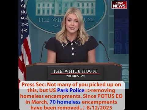 Press Sec: DC homeless if refuse shelter then fines/jail; LA Mayor Bass brags rapid response network