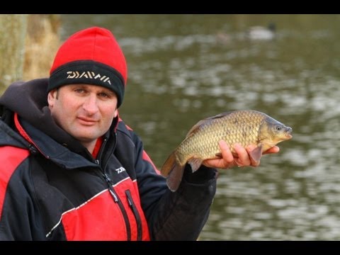 Steve Ringer's Skills School - Catching F1 carp on maggots