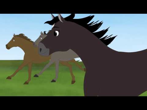 Black Beauty - Storybook Video