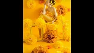 Cranes- Come this far