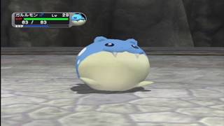 ポケモンXDダークルギア　その6