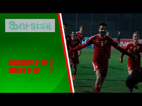 Hungary U-19 - Wales U-19  2-1. All Goals