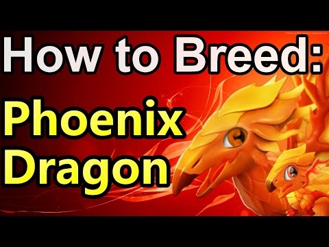 How to Breed: Phoenix Dragon - Dragon Mania Legends (Dragon of the Week)