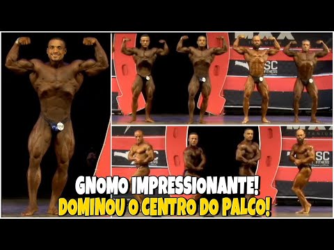 GNOME PRESENTS INCREDIBLE SHAPE AND CAN WIN THE HORSEPOWER SHOW