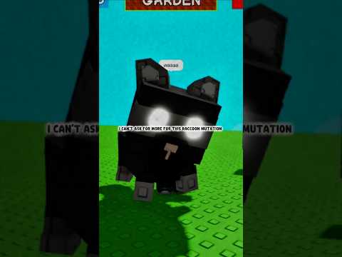 the best raccoon mutation in grow a garden #roblox #growagarden #growagardenroblox