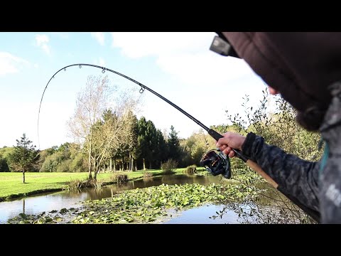 Multi Species FISHING CHALLENGE - How many species can we catch in ONE DAY?