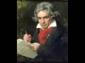 Beethoven: Symphony No. 5 in C Minor, Op. 67, 1st movement