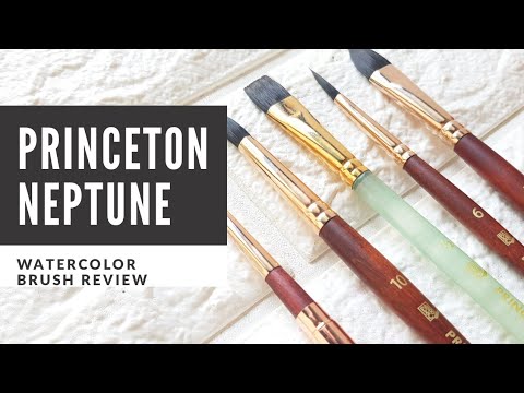 download lagu mp3 mp4 Princeton Paint Brush Set, download lagu Princeton Paint Brush Set gratis, unduh video klip Princeton Paint Brush Set
