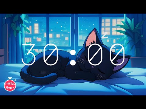 30 Minute Timer with music for classroom lofi