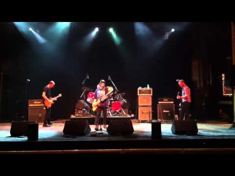 The Nils - Young Man In Transit