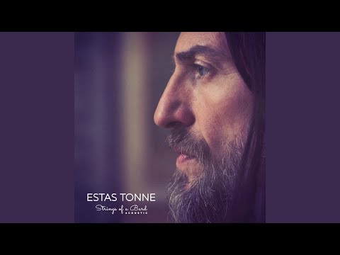 Strings of a Bard (Acoustic)