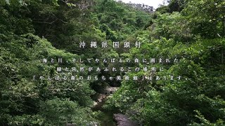 木のおもちゃ美術館が楽しいの動画