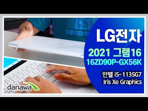 LG 2021 ׷16 16ZD90P-GX56K