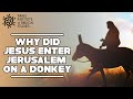 Why Did Jesus Enter Jerusalem Riding a Donkey? - Jerusalem In The Footsteps of Jesus