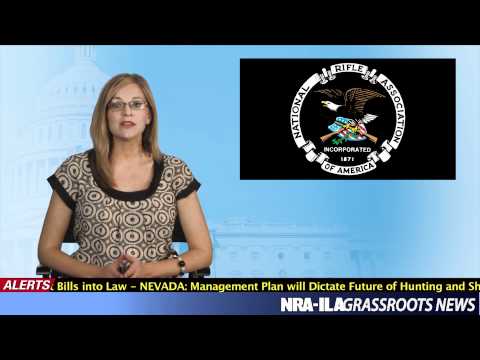 download lagu mp3 mp4 Nra Flyer, download lagu Nra Flyer gratis, unduh video klip Nra Flyer