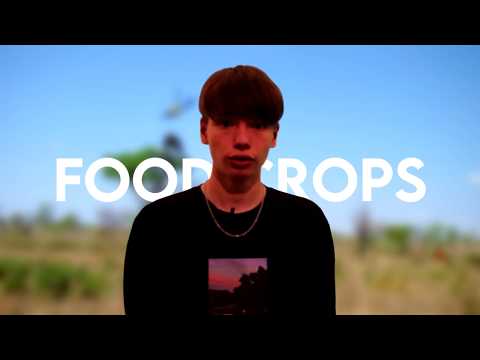 Erdkunde Präsentation Food- vs Cash crops | von Jonas Werner