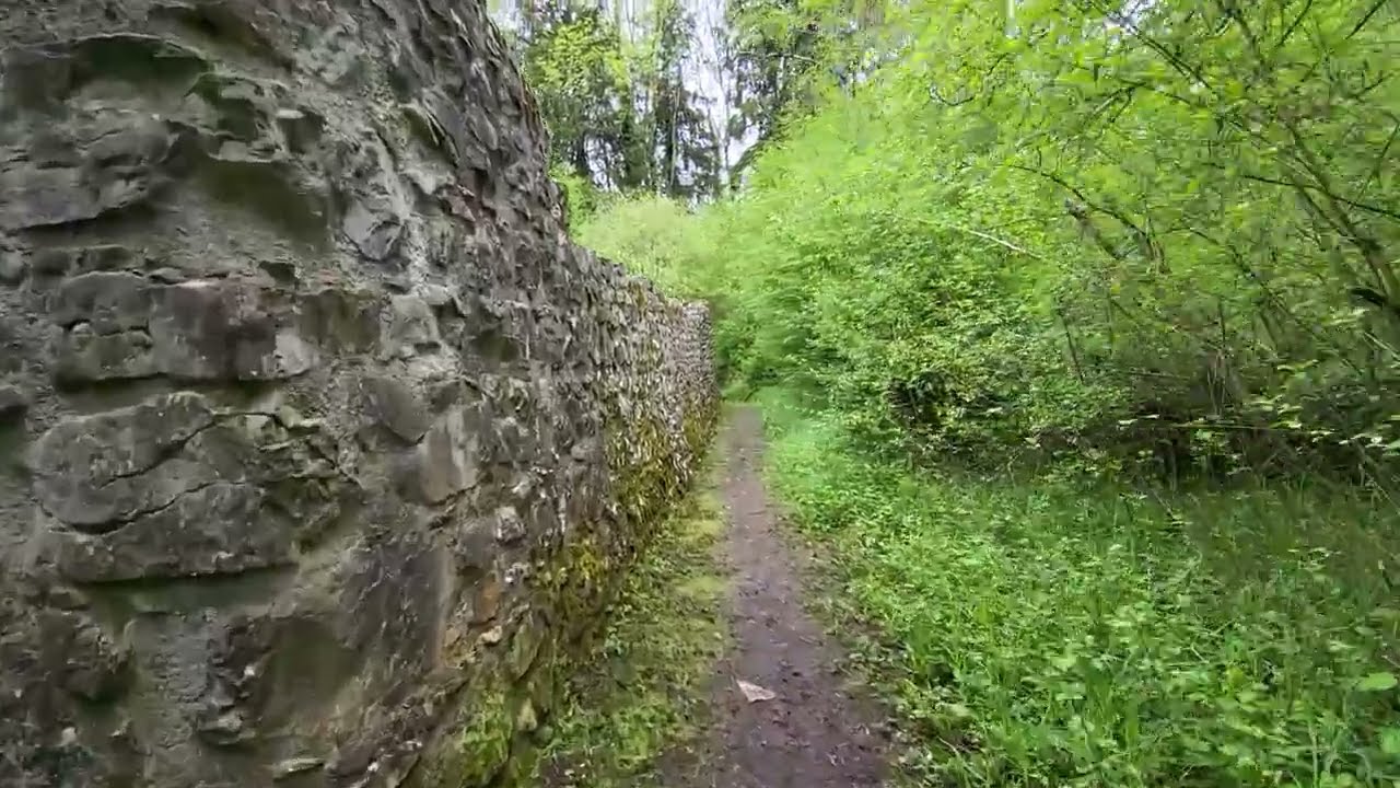 Discover the highlights of Weissenau Castle.