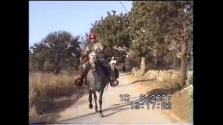 preview picture of video 'Άλογα της Μάνης (Αρεόπολη) - Horses of Mani - Greece'