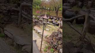 Download lagu 장독대에도 비가오니 장독도 세수한듯 예쁘다^^ mp3