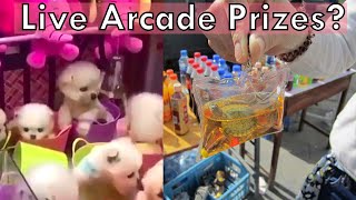 Is China Using REAL Animals in Arcade Games?
