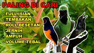 Download lagu suara masteran burung KACER , MURAI BATU , CUCAK IJO GACOR mp3 Download lagu suara masteran burung KACER , MURAI BATU , CUCAK IJO GACOR mp3