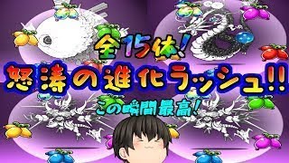 【にゃんこ大戦争#45】にゃんこ超激レア！超絶怒涛の進化ラッシュ！！(；ﾟДﾟ)