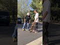 Teaching My MOM A Skate Trick Part 1 Skateboarding Shorts