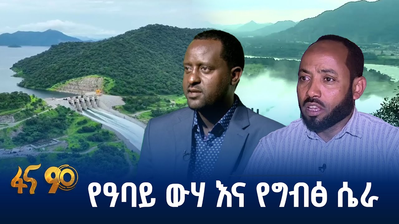 የግብፅ የዜሮ ድምር አቋም
