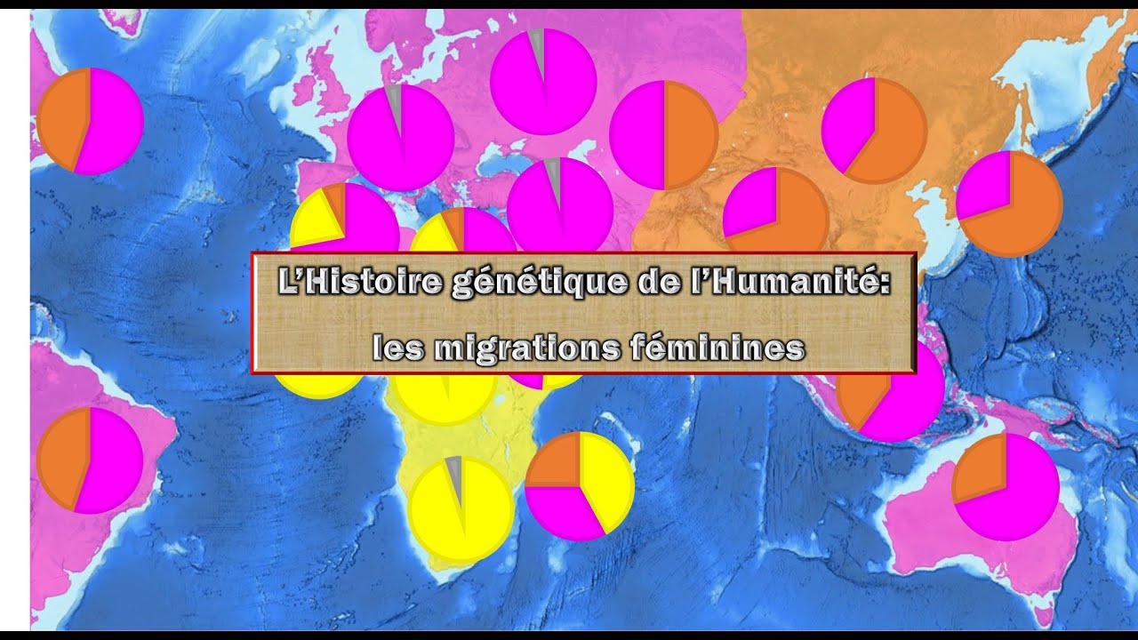 L'Histoire génétique de l'Humanité: les migrations féminines (ADN mitochondrial)