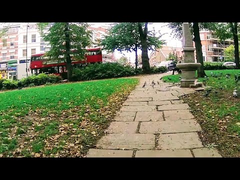 Autumn Walk - Camden to Hampstead, London