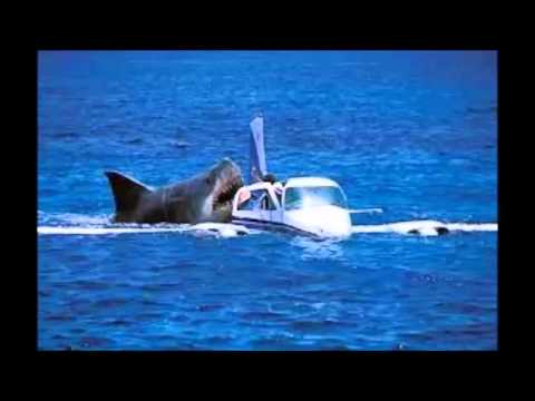 Megalodon Shark Attack Caught On Tape Attacking Crashed Air Plane Off Coast of Cambodia real or fake