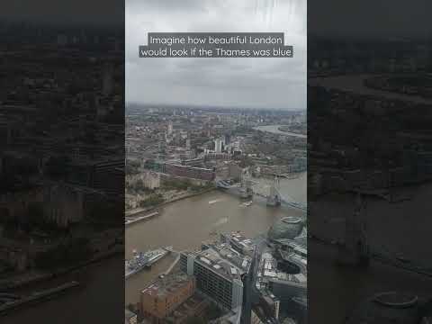 Surprisingly, The Thames is the cleanest city River in the world! #riverthames #london #silife