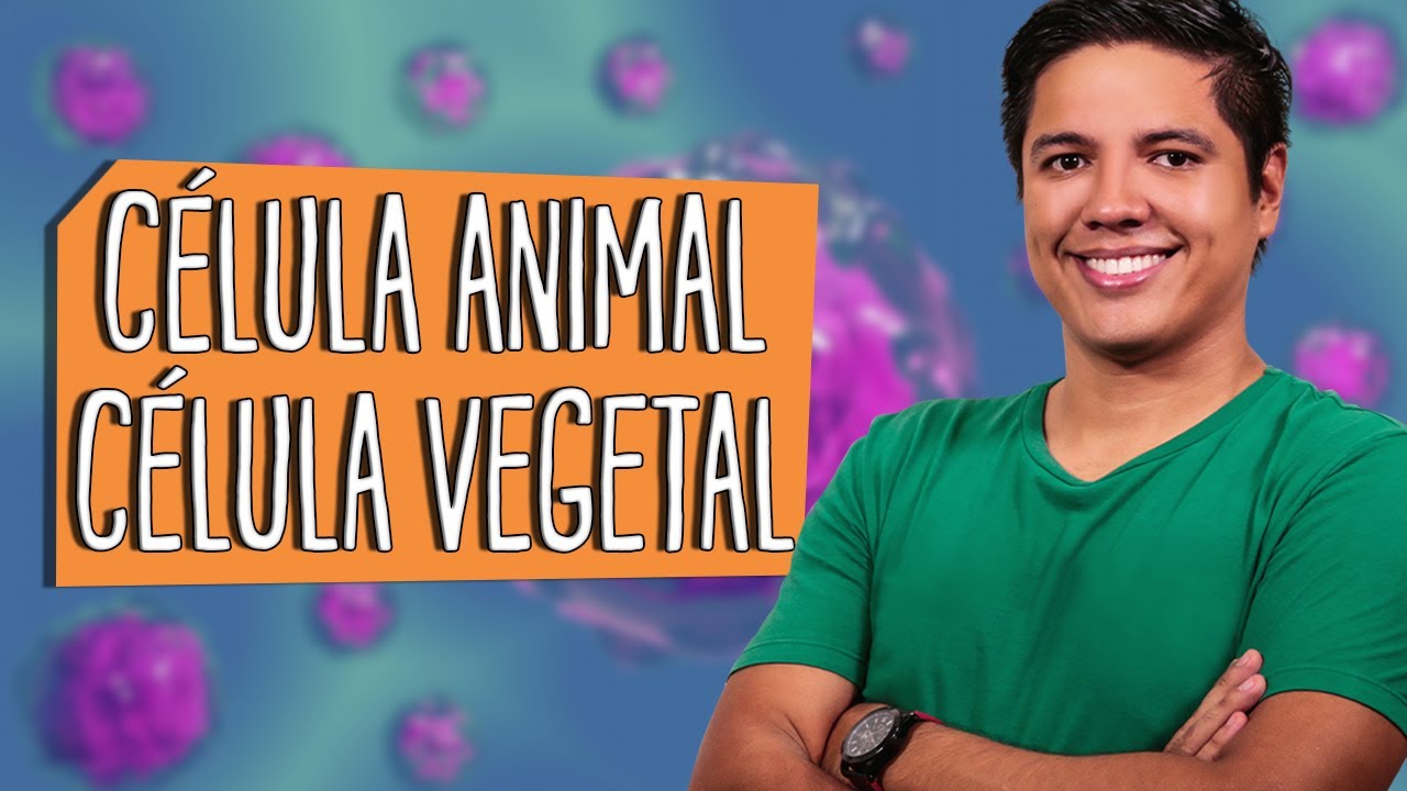 CÉLULA ANIMAL e CÉLULA VEGETAL - Principais Diferenças - Prof. Kennedy Ramos