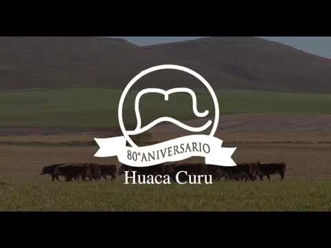 Remate Huaca Curu 2020
