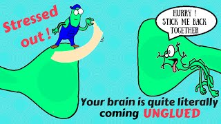 The science behind stress and brain fog